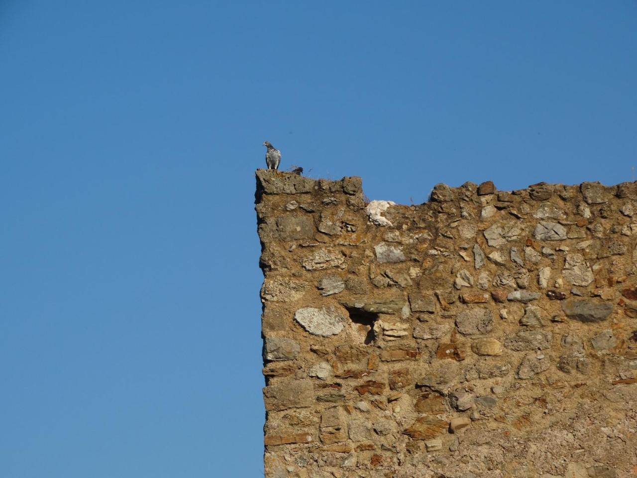 Sa Mendua E Sa Pruna Casa Al Mare Iglesias Extérieur photo